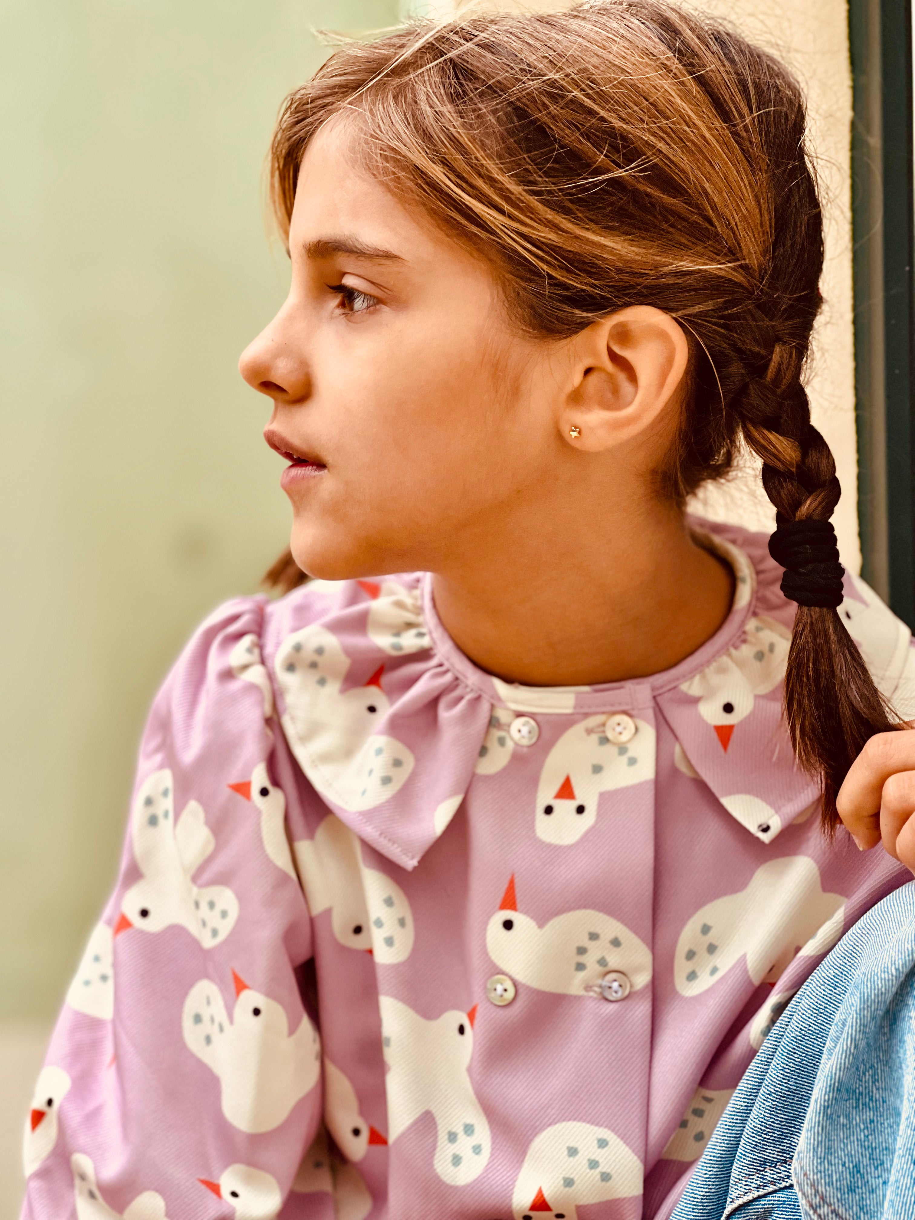 Camisa Pássaros