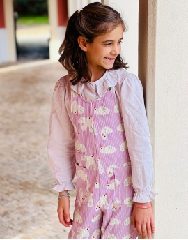 Jardineiras Pássaros